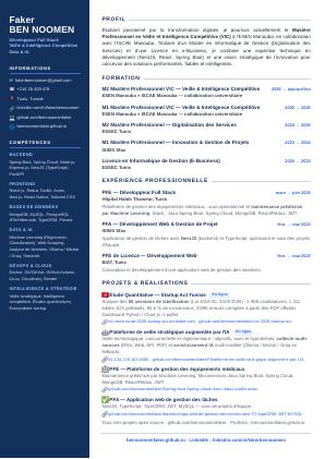 Aperçu du CV Français
